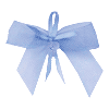 Blue bow